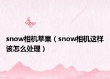 snow相機(jī)蘋果（snow相機(jī)這樣該怎么處理）
