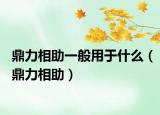 鼎力相助一般用于什么（鼎力相助）