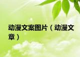 動(dòng)漫文案圖片（動(dòng)漫文章）