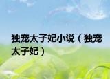 獨(dú)寵太子妃小說(shuō)（獨(dú)寵太子妃）