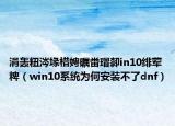 涓轟粈涔堟棤娉曞畨瑁厀in10緋葷粺（win10系統(tǒng)為何安裝不了dnf）