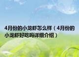 4月份的小龍蝦怎么樣（4月份的小龍蝦好吃嗎詳細介紹）