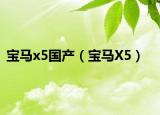 寶馬x5國產(chǎn)（寶馬X5）