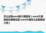 怎么設(shè)置word的大綱級別（word大綱級別在哪里設(shè)置 word大綱怎么設(shè)置級別介紹）
