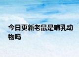 今日更新老鼠是哺乳動(dòng)物嗎