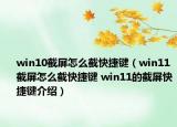 win10截屏怎么截快捷鍵（win11截屏怎么截快捷鍵 win11的截屏快捷鍵介紹）