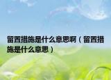 留置措施是什么意思啊（留置措施是什么意思）