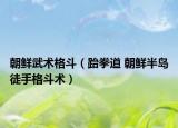 朝鮮武術(shù)格斗（跆拳道 朝鮮半島徒手格斗術(shù)）