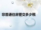 非普通住房要交多少稅