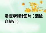 活檢穿刺針圖片（活檢穿刺針）