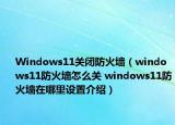 Windows11關(guān)閉防火墻（windows11防火墻怎么關(guān) windows11防火墻在哪里設(shè)置介紹）