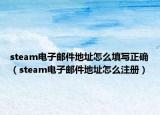 steam電子郵件地址怎么填寫正確（steam電子郵件地址怎么注冊）