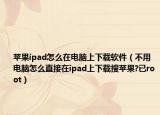 蘋果ipad怎么在電腦上下載軟件（不用電腦怎么直接在ipad上下載搜蘋果?已root）