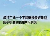 求打工妹一個(gè)下載鏈接最好是能用手機(jī)看的我是IOS系統(tǒng)