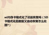 sd內(nèi)存卡格式化了還能恢復(fù)嗎（SD卡格式化后數(shù)據(jù)又自動恢復(fù)怎么處理?）