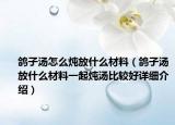 鴿子湯怎么燉放什么材料（鴿子湯放什么材料一起燉湯比較好詳細介紹）