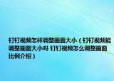 釘釘視頻怎樣調(diào)整畫面大?。ㄡ斸斠曨l能調(diào)整畫面大小嗎 釘釘視頻怎么調(diào)整畫面比例介紹）