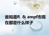 誰知道R  & ampf市現(xiàn)在都是什么樣子
