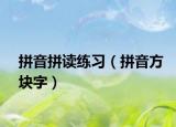 拼音拼讀練習(xí)（拼音方塊字）