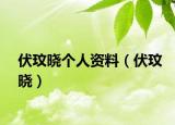 伏玟曉個(gè)人資料（伏玟曉）
