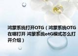 鴻蒙系統(tǒng)打開OTG（鴻蒙系統(tǒng)OTG在哪打開 鴻蒙系統(tǒng)otG模式怎么打開介紹）