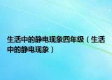 生活中的靜電現(xiàn)象四年級(jí)（生活中的靜電現(xiàn)象）