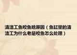 清潔工魚咬魚啥原因（魚缸里的清潔工為什么老是咬魚怎么處理）