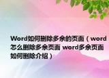 Word如何刪除多余的頁面（word怎么刪除多余頁面 word多余頁面如何刪除介紹）