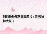 利刃特種部隊(duì)臂章圖片（利刃特種大隊(duì)）