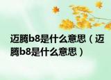 邁騰b8是什么意思（邁騰b8是什么意思）