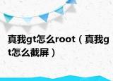 真我gt怎么root（真我gt怎么截屏）