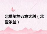 北愛爾蘭vs意大利（北愛爾蘭）