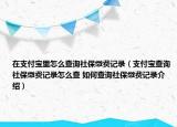 在支付寶里怎么查詢社保繳費(fèi)記錄（支付寶查詢社保繳費(fèi)記錄怎么查 如何查詢社保繳費(fèi)記錄介紹）