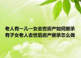 老人有一兒一女去世房產(chǎn)如何繼承有子女老人去世后房產(chǎn)繼承怎么做