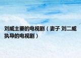 劉威主要的電視?。ㄆ拮?劉二威執(zhí)導(dǎo)的電視?。? /></span></a>
                        <h2><a  title=