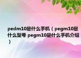 pedm10是什么手機(jī)（pegm10是什么型號(hào) pegm10是什么手機(jī)介紹）