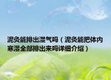 泥灸能排出濕氣嗎（泥灸能把體內寒濕全部排出來嗎詳細介紹）