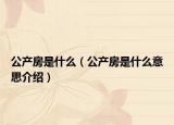 公產(chǎn)房是什么（公產(chǎn)房是什么意思介紹）