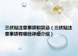 三伏貼注意事項(xiàng)和禁忌（三伏貼注意事項(xiàng)有哪些詳細(xì)介紹）