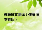 佐藤日文翻譯（佐藤 日本姓氏）