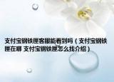 支付寶鋼鐵匣客服能看到嗎（支付寶鋼鐵匣在哪 支付寶鋼鐵匣怎么找介紹）