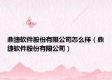 鼎捷軟件股份有限公司怎么樣（鼎捷軟件股份有限公司）
