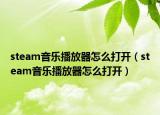 steam音樂播放器怎么打開（steam音樂播放器怎么打開）