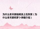 為什么冬天要給樹涂上石灰漿（為什么冬天要吃蘿卜詳細介紹）