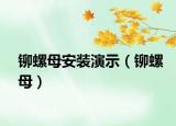 鉚螺母安裝演示（鉚螺母）