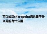 可以卸載sharepoint嗎這是干什么用的有什么用