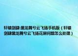 軒轅劍肆:黑龍舞兮云飛揚手機版（軒轅劍肆黑龍舞兮云飛揚花屏問題怎么處理）