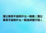 蒲公英茶不能和什么一起喝（蒲公英茶不能和什么一起泡詳細介紹）