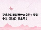 靈域小說(shuō)秦烈是什么身份（秦烈 小說(shuō)《靈域》男主角）