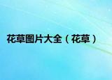 花草圖片大全（花草）